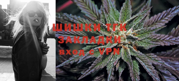 тгк Нея